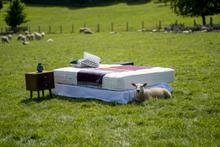 John Lewis and Waitrose get into bed together with new sustainable mattress range